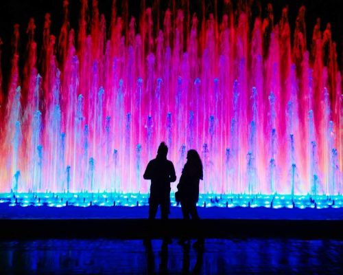 6a2dace18495b467bdd8a81b46089fb0