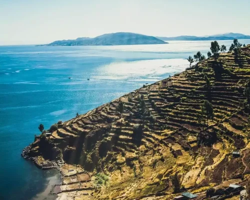 WhatsApp Image 2019-03-20 at 20.41.52 (2)