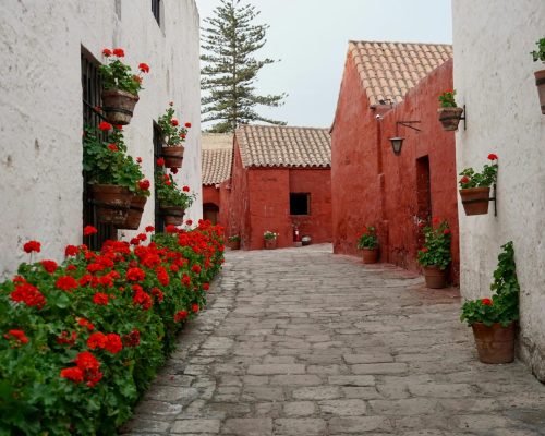 pexels-curatedpassagetravel-7473164