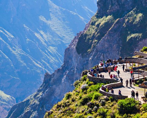 shutterstock_439732774